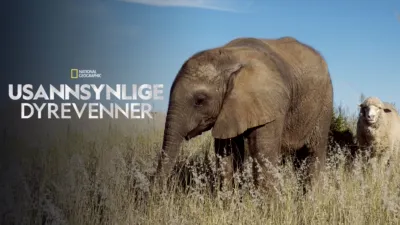 Usannsynlige dyrevenner