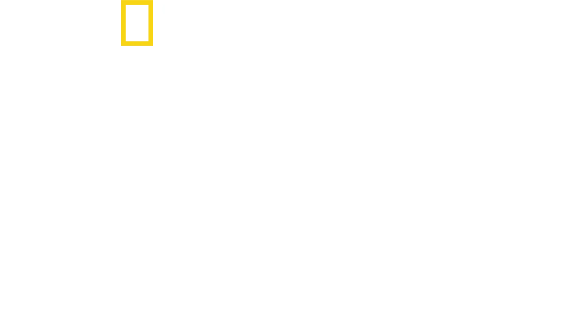 Tucci revine în Italia