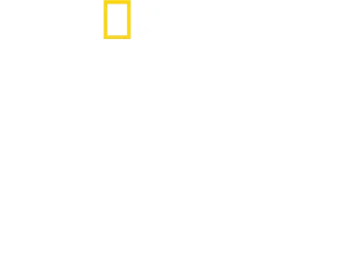 Tucci revine în Italia