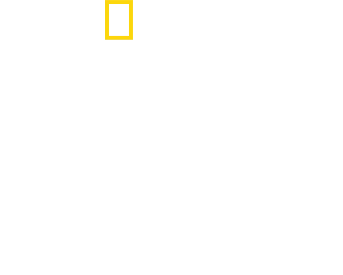 Tucci revine în Italia
