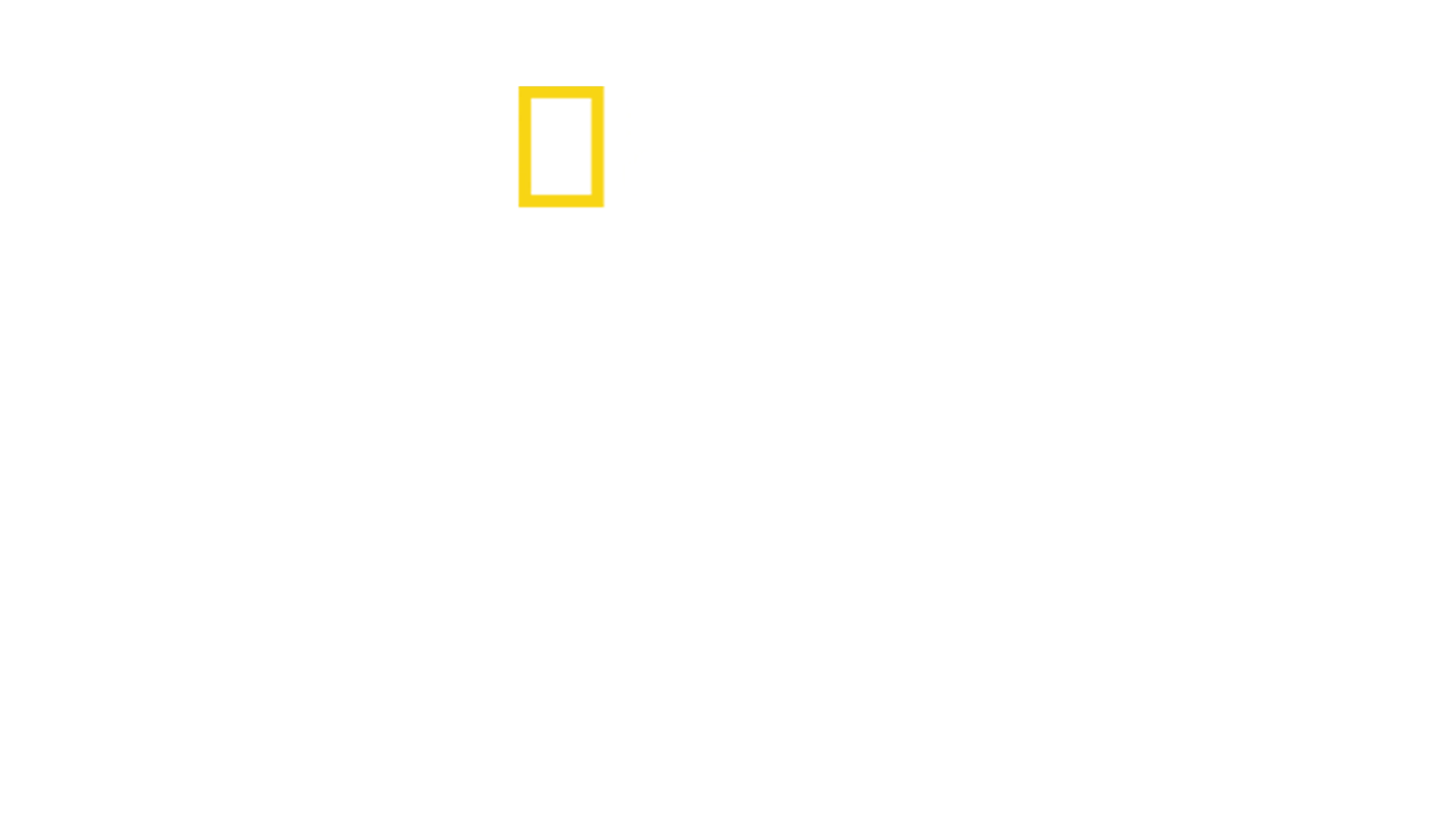 Columbus'un Sırları