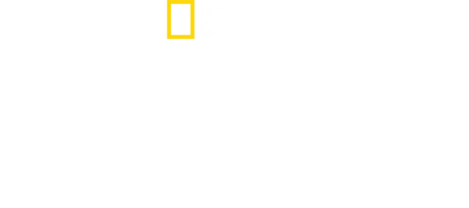 Columbus'un Sırları