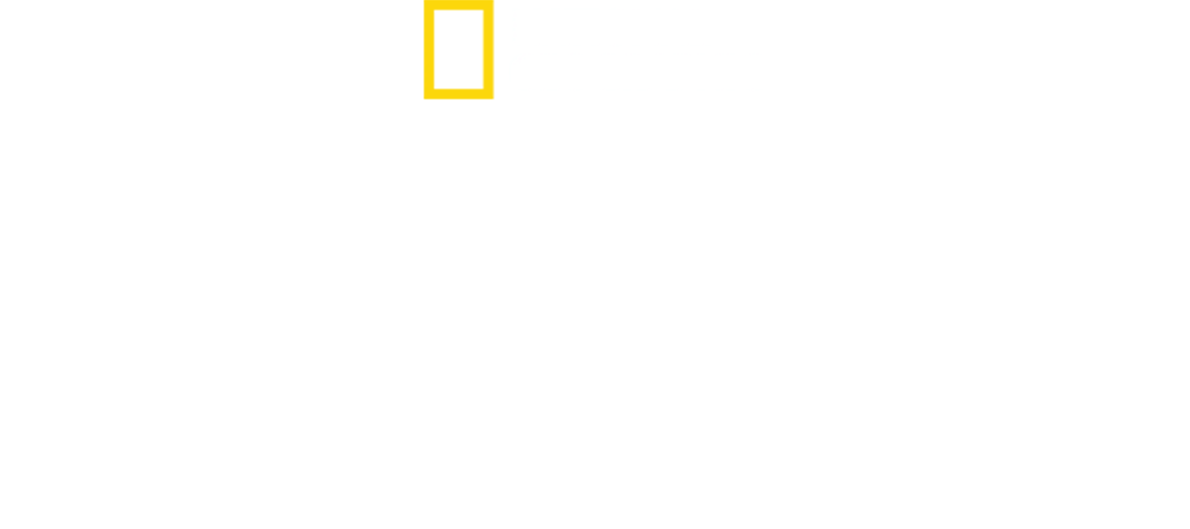 Columbus'un Sırları