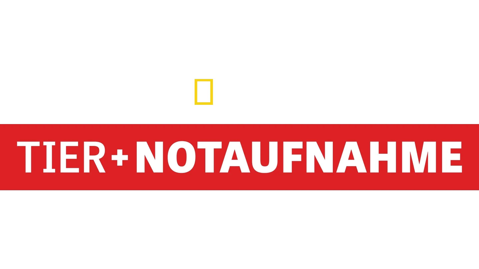 Animal Emergency Room