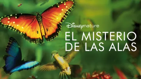 thumbnail - El misterio de las alas