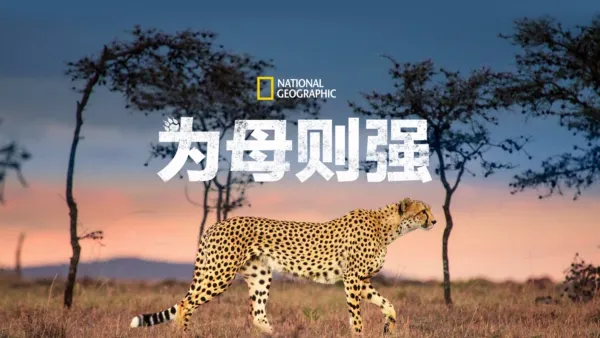 thumbnail - 为母则强