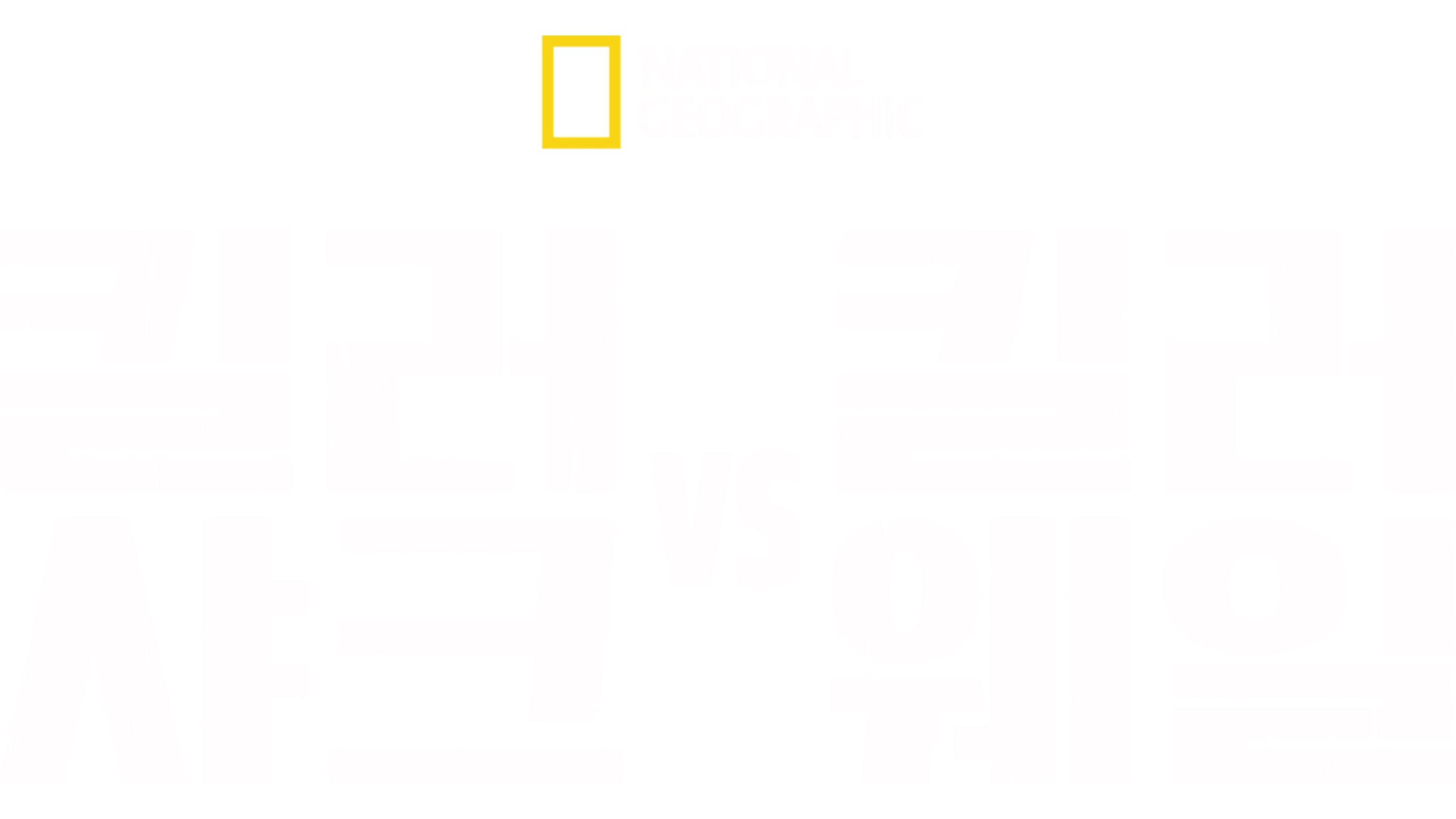 킬러 샤크 vs 킬러 웨일