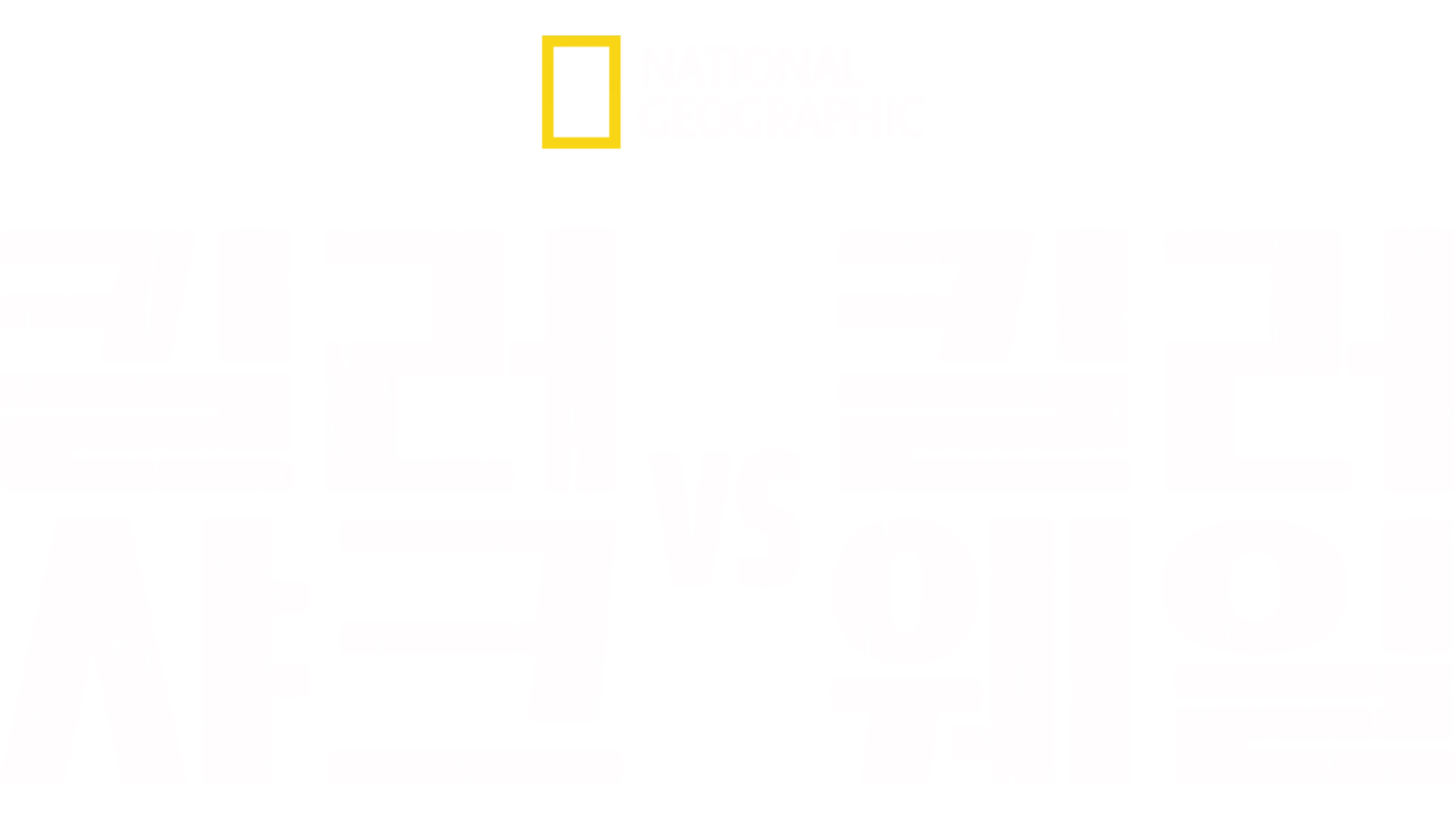 킬러 샤크 vs 킬러 웨일