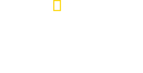 킬러 샤크 vs 킬러 웨일
