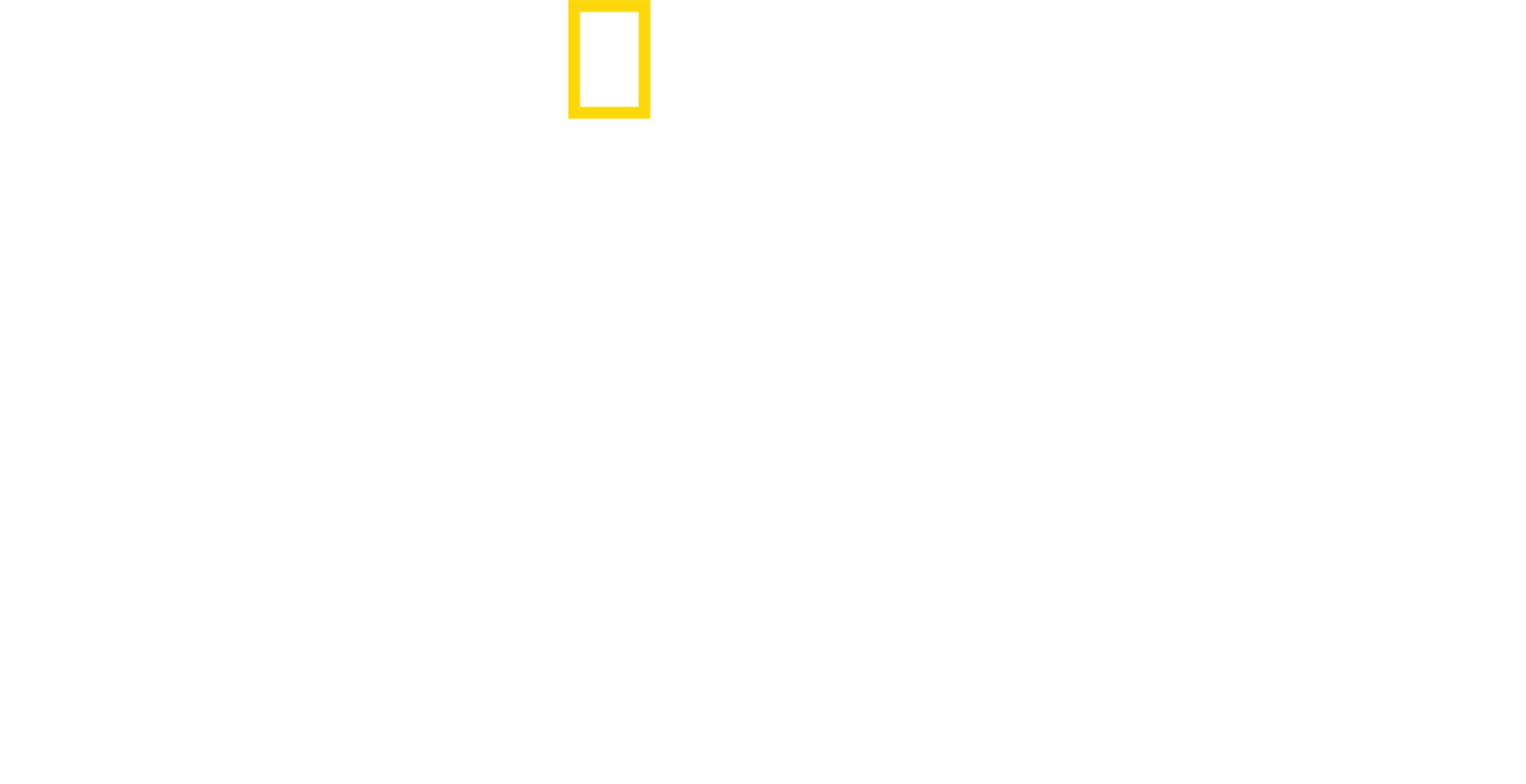킬러 샤크 vs 킬러 웨일
