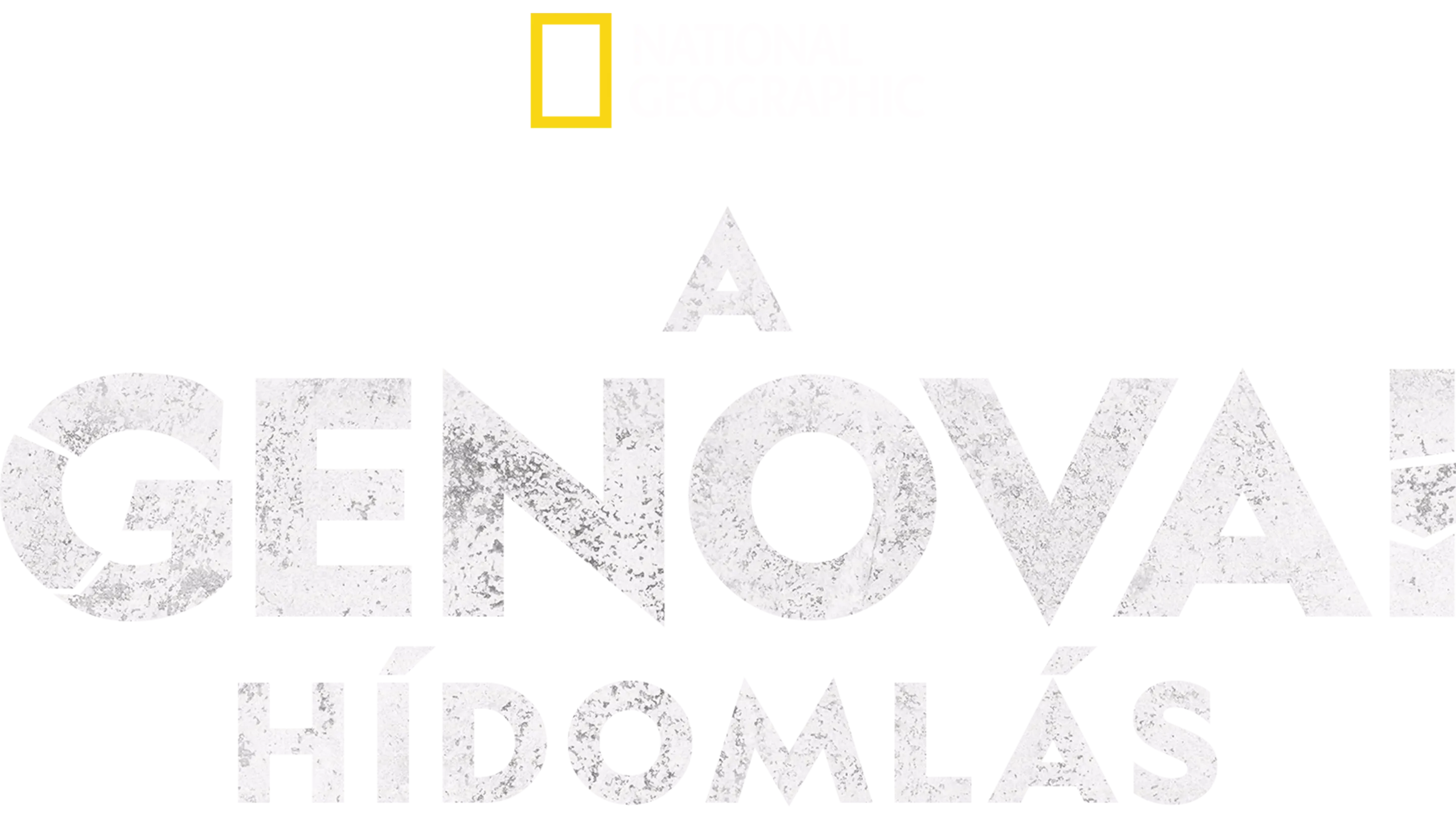 A genovai hídomlás