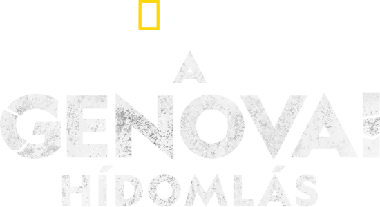 A genovai hídomlás