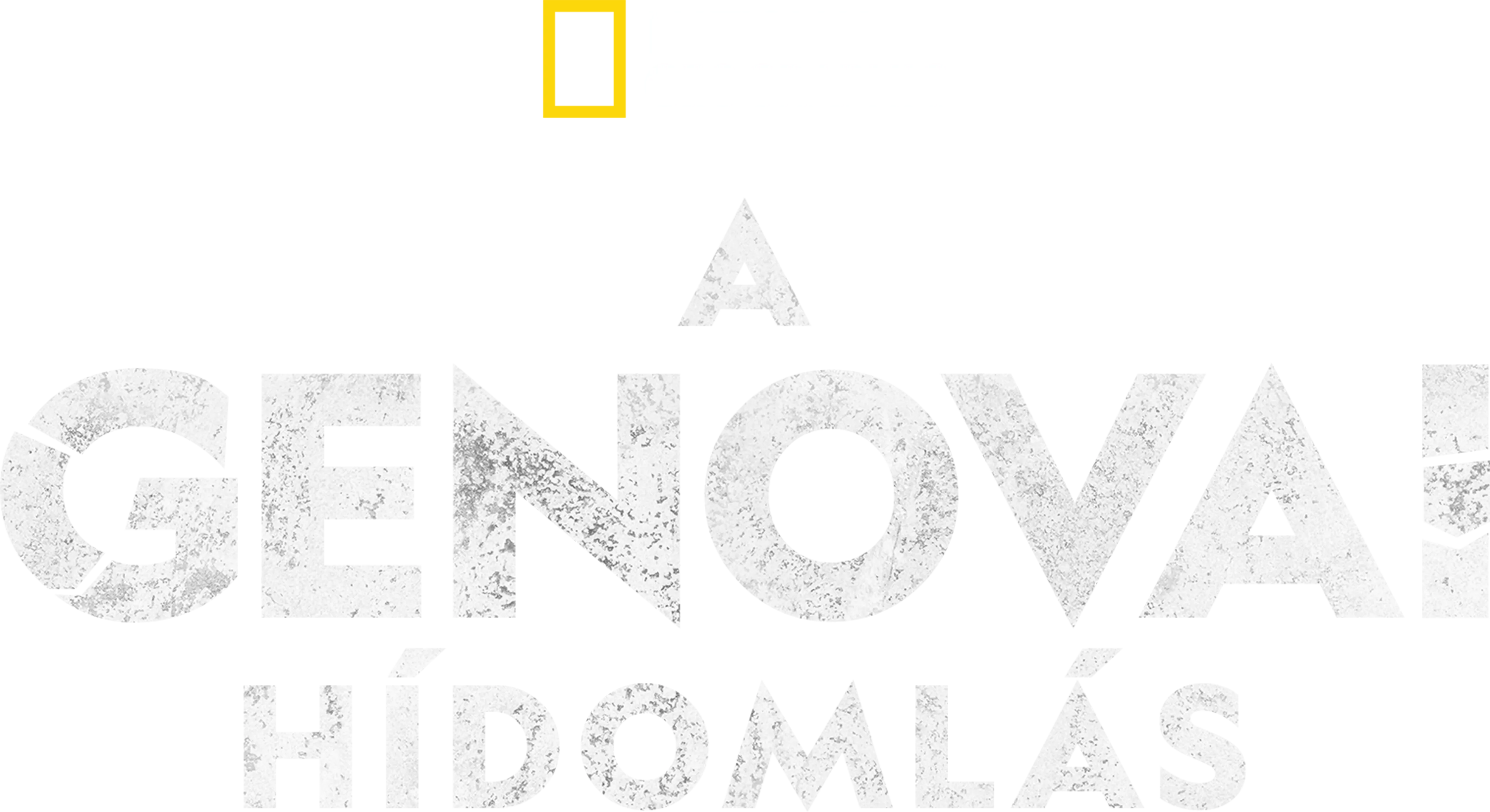 A genovai hídomlás
