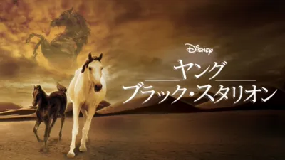 thumbnail - ヤング・ブラック・スタリオン