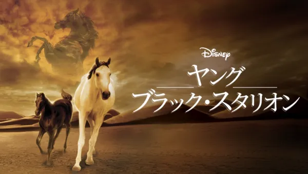 thumbnail - ヤング・ブラック・スタリオン