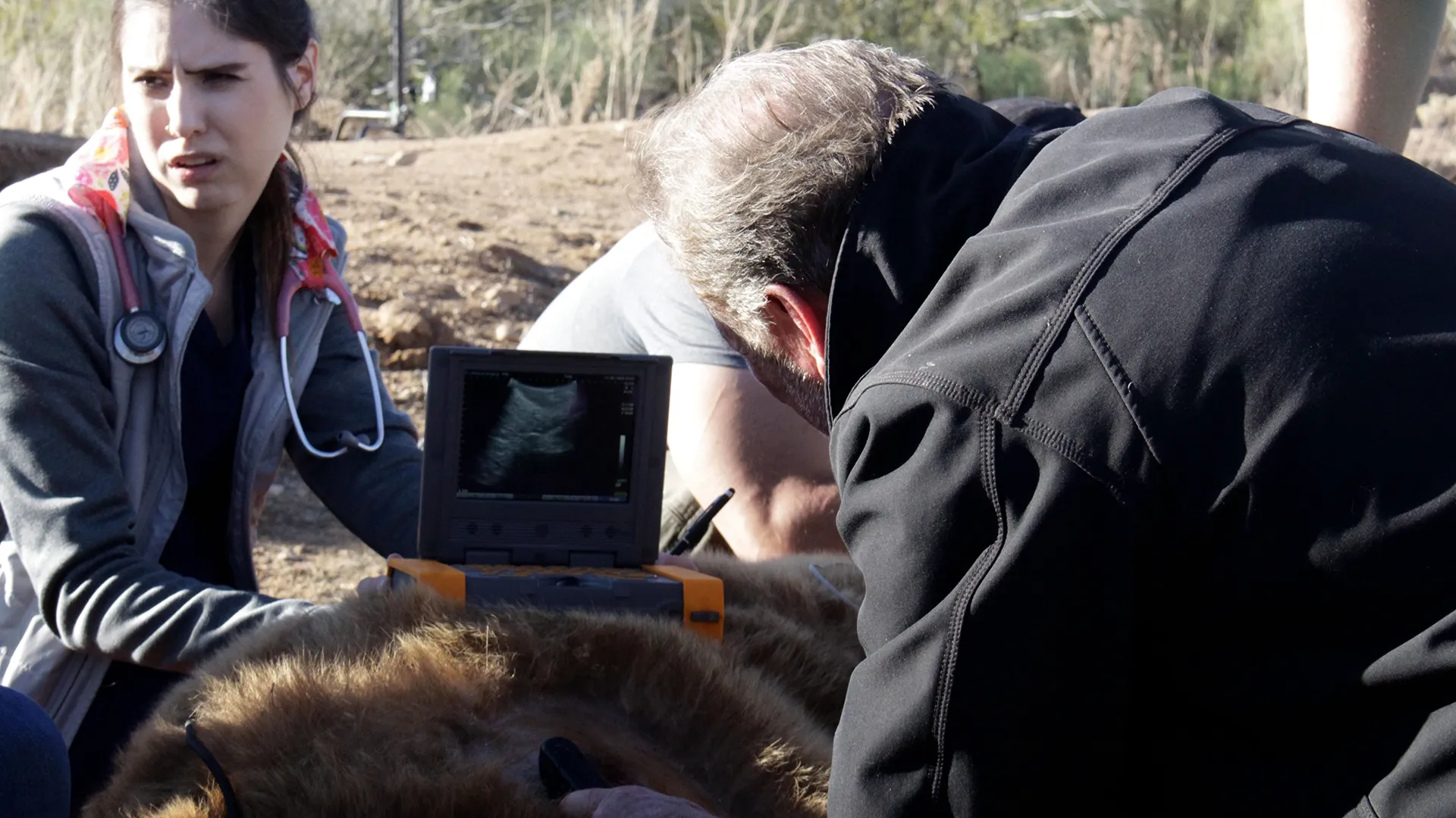 thumbnail - S1:E5 Grin And Bear It