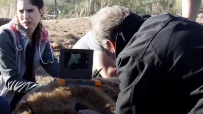 thumbnail - S1:E5 Grin And Bear It