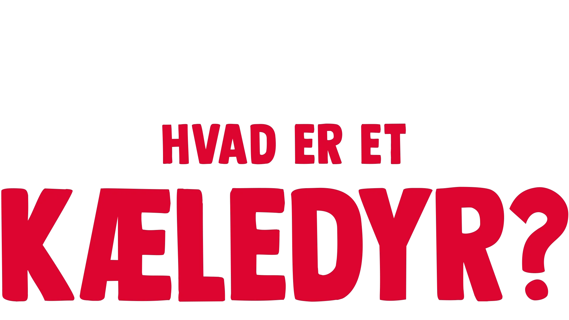 Gafli har et spørgsmål: Hvad er et kæledyr?