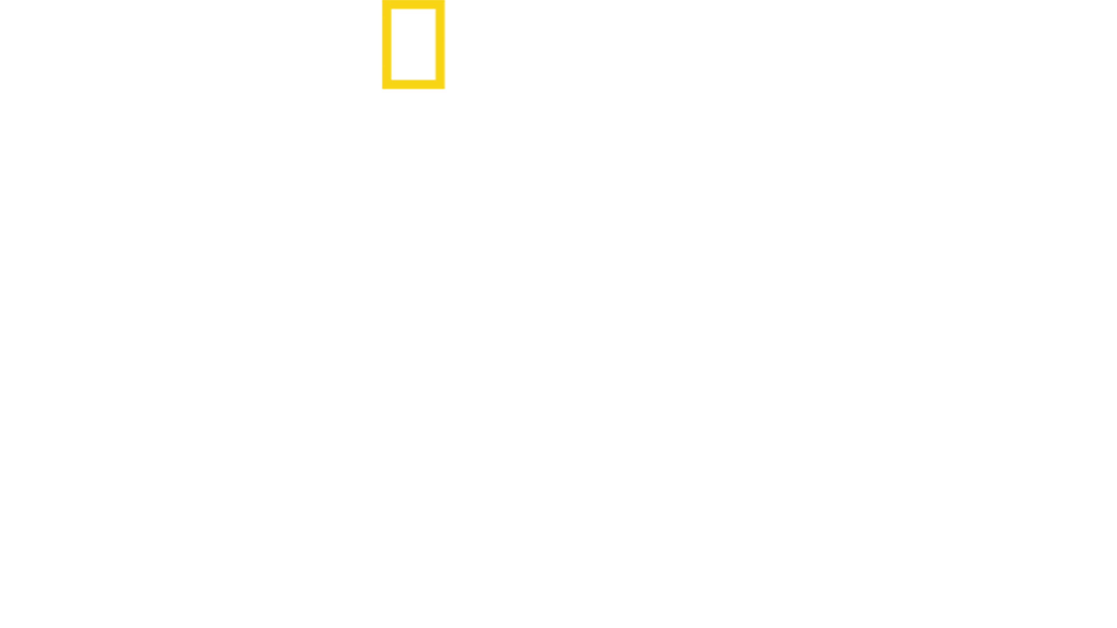 Secrete la zoo
