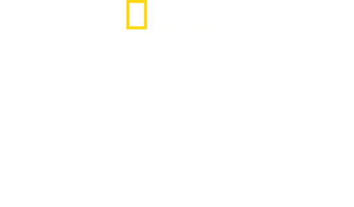 Secrete la zoo