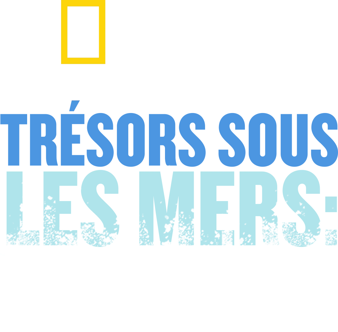 Trésors sous les mers : Port Royal ville pirate
