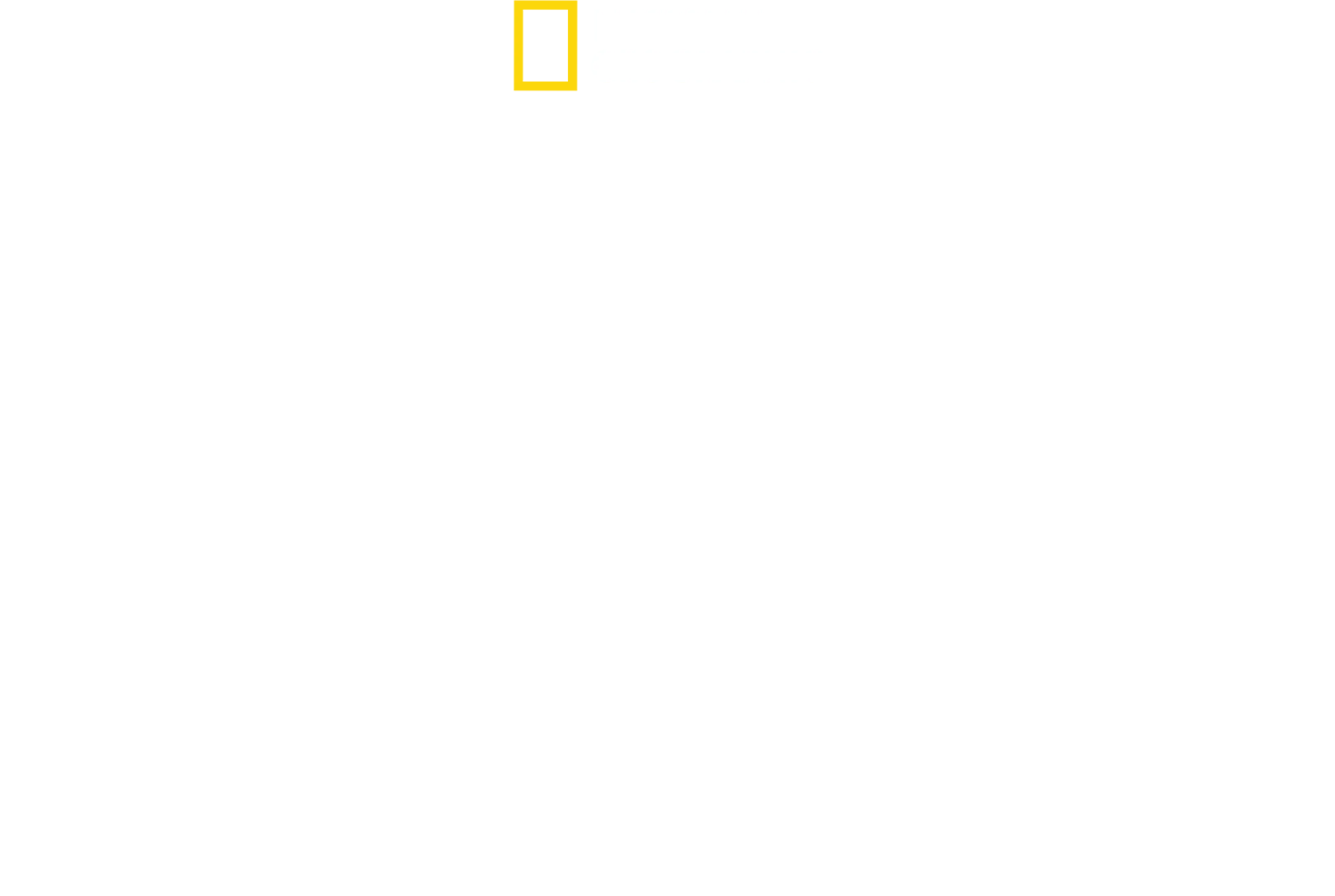 珍古德的傳奇一生