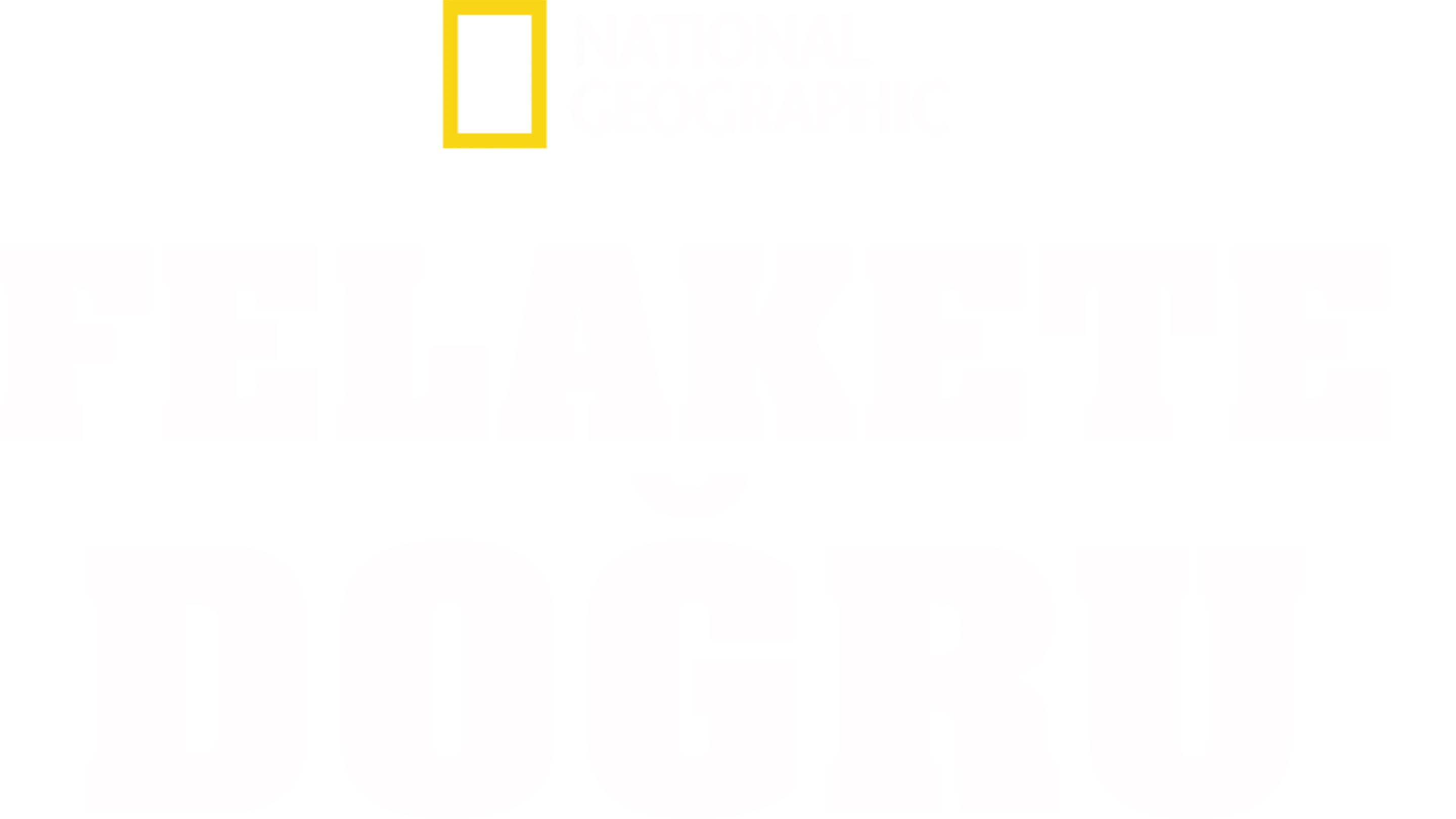 Felakete Doğru