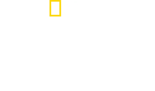 Felakete Doğru