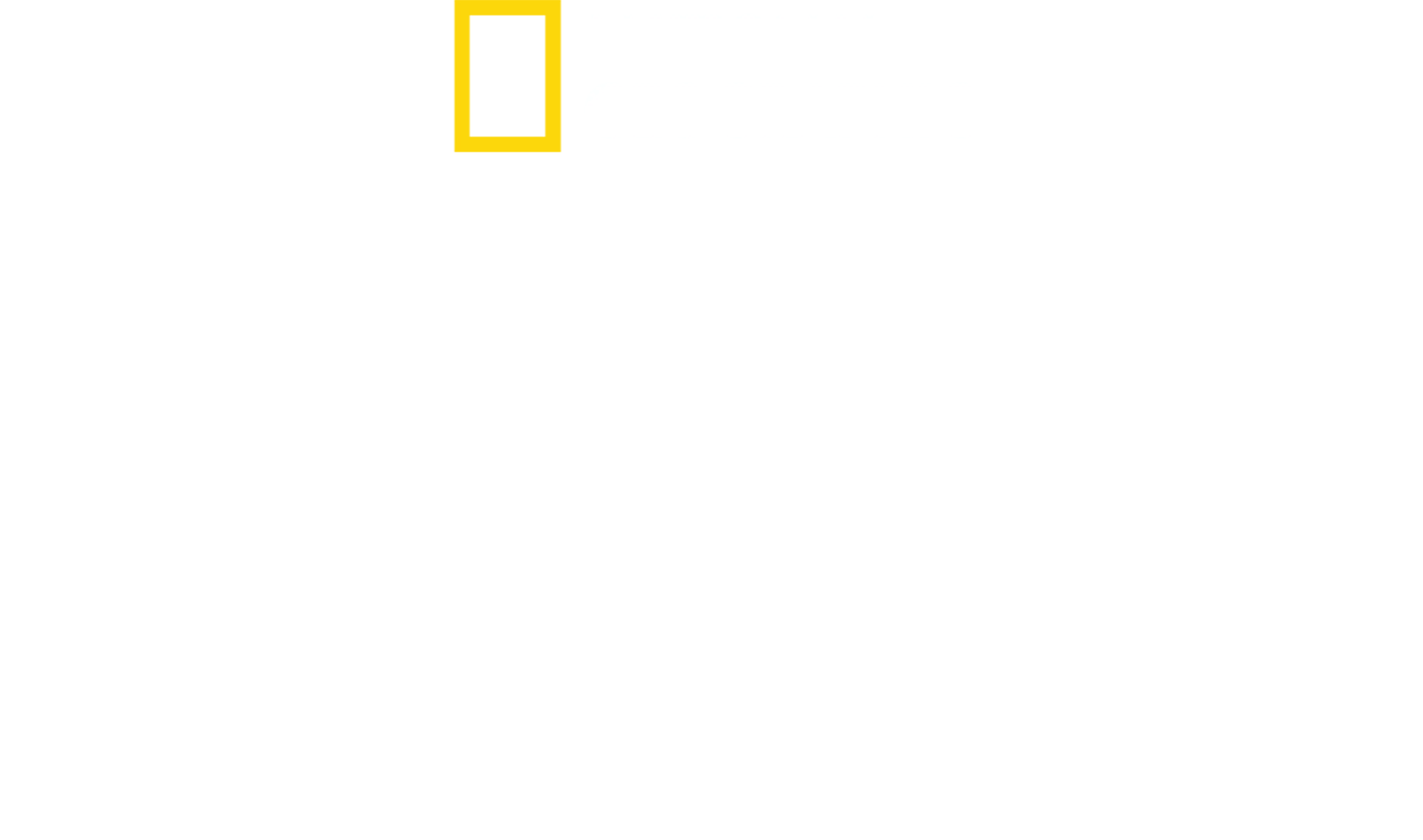 Felakete Doğru