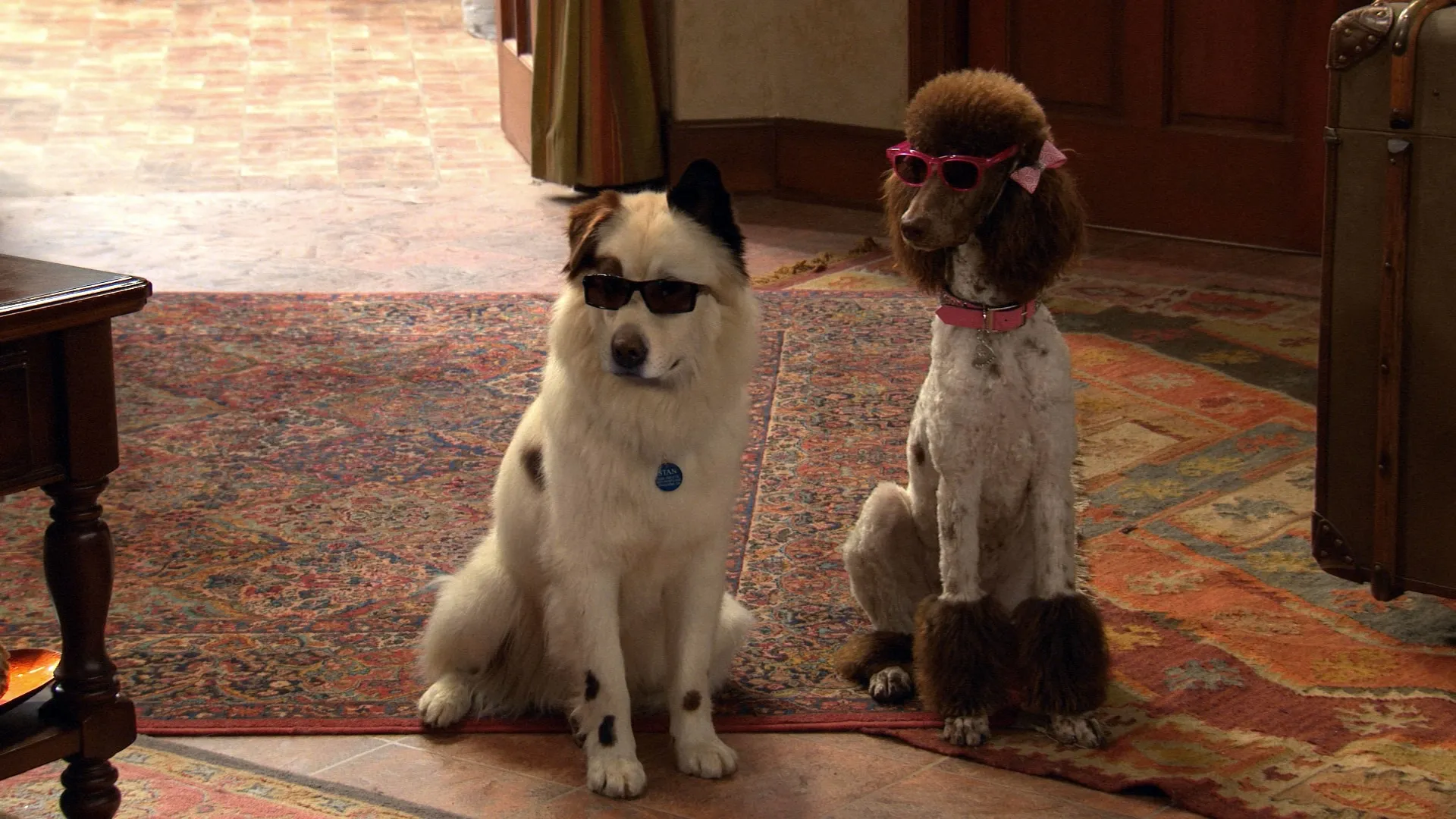 thumbnail - S3:E21 Stan Rescues His Princess