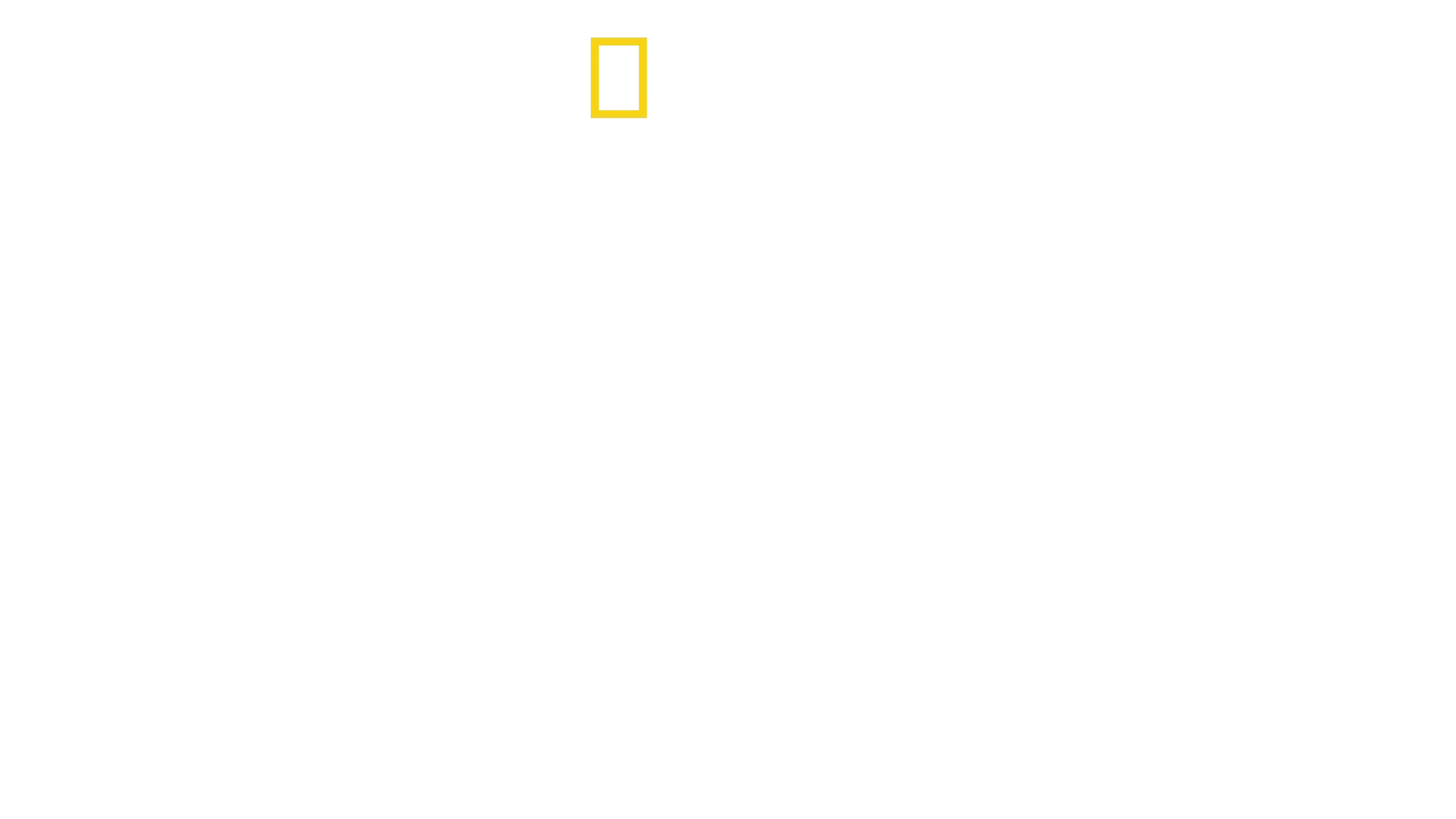 David Blaine: świat pełen wyzwań