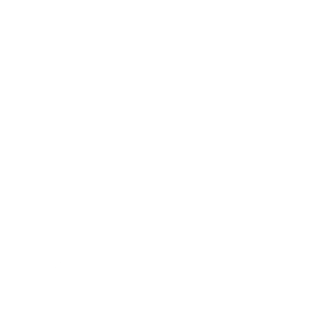 Die Chefin