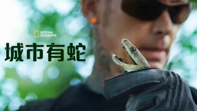 thumbnail - 城市有蛇