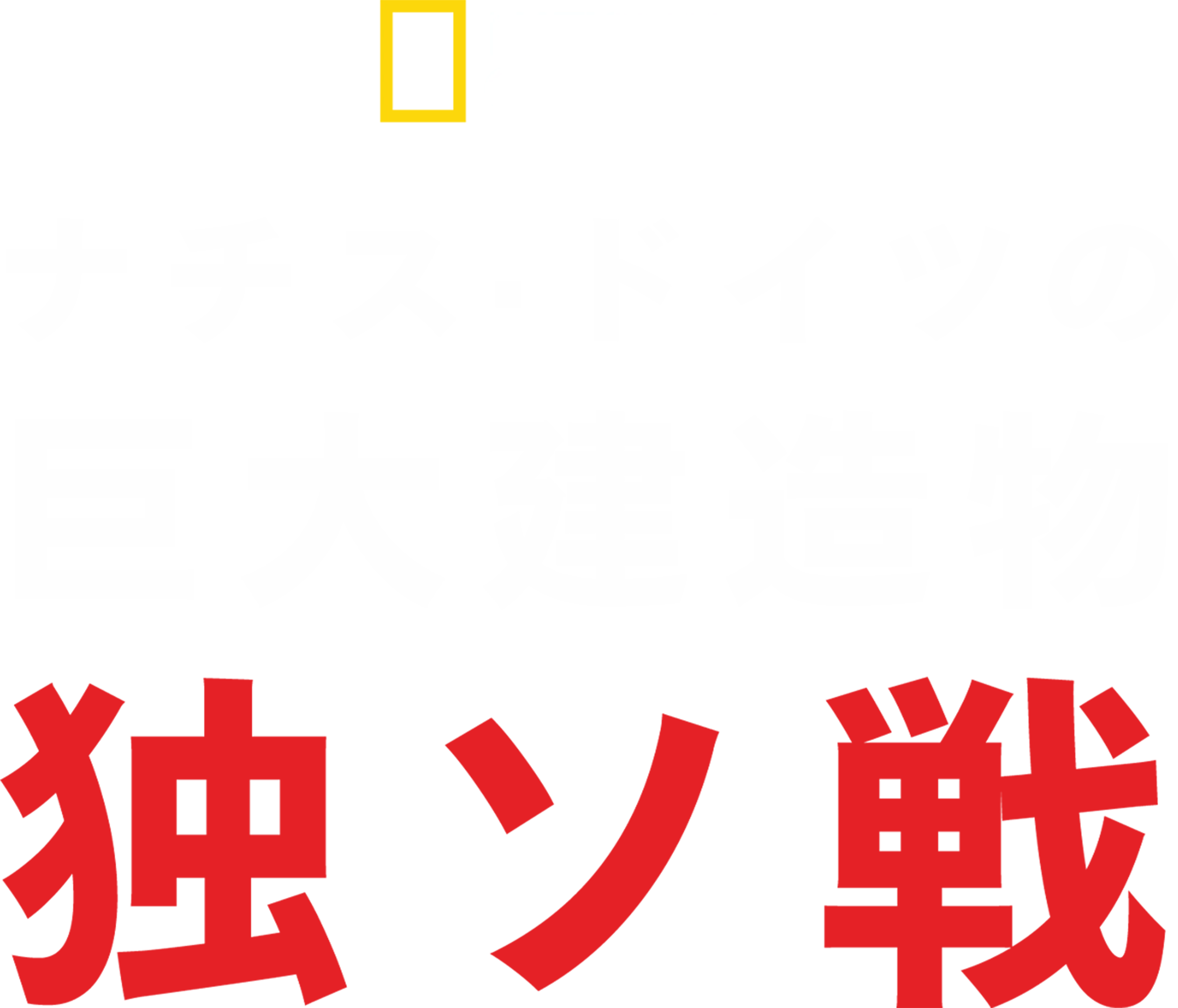 ナチス・ドイツの巨大建造物 独ソ戦