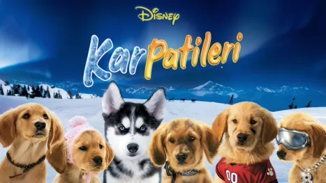 thumbnail - Kar Patileri