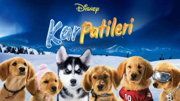 thumbnail - Kar Patileri