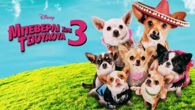 Μπέβερλι Χιλς Τσιουάουα 3