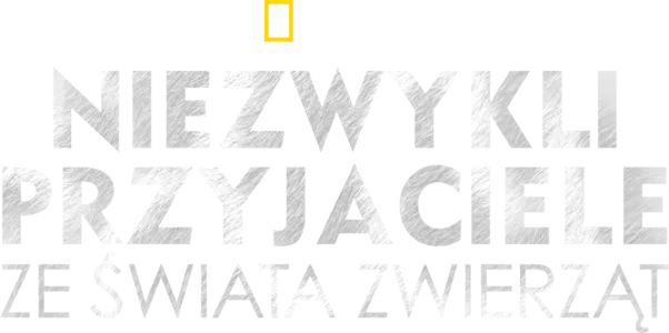 Niezwykli przyjaciele ze świata zwierząt