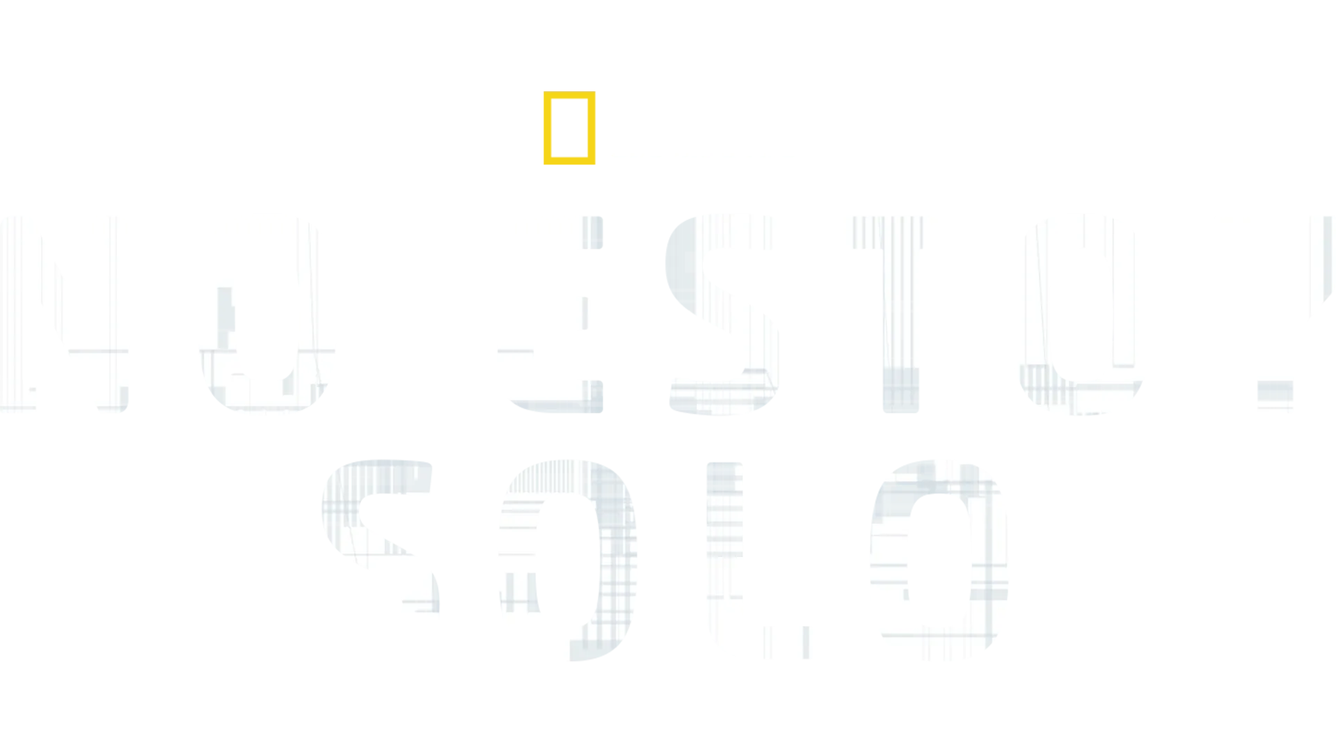 No estoy solo
