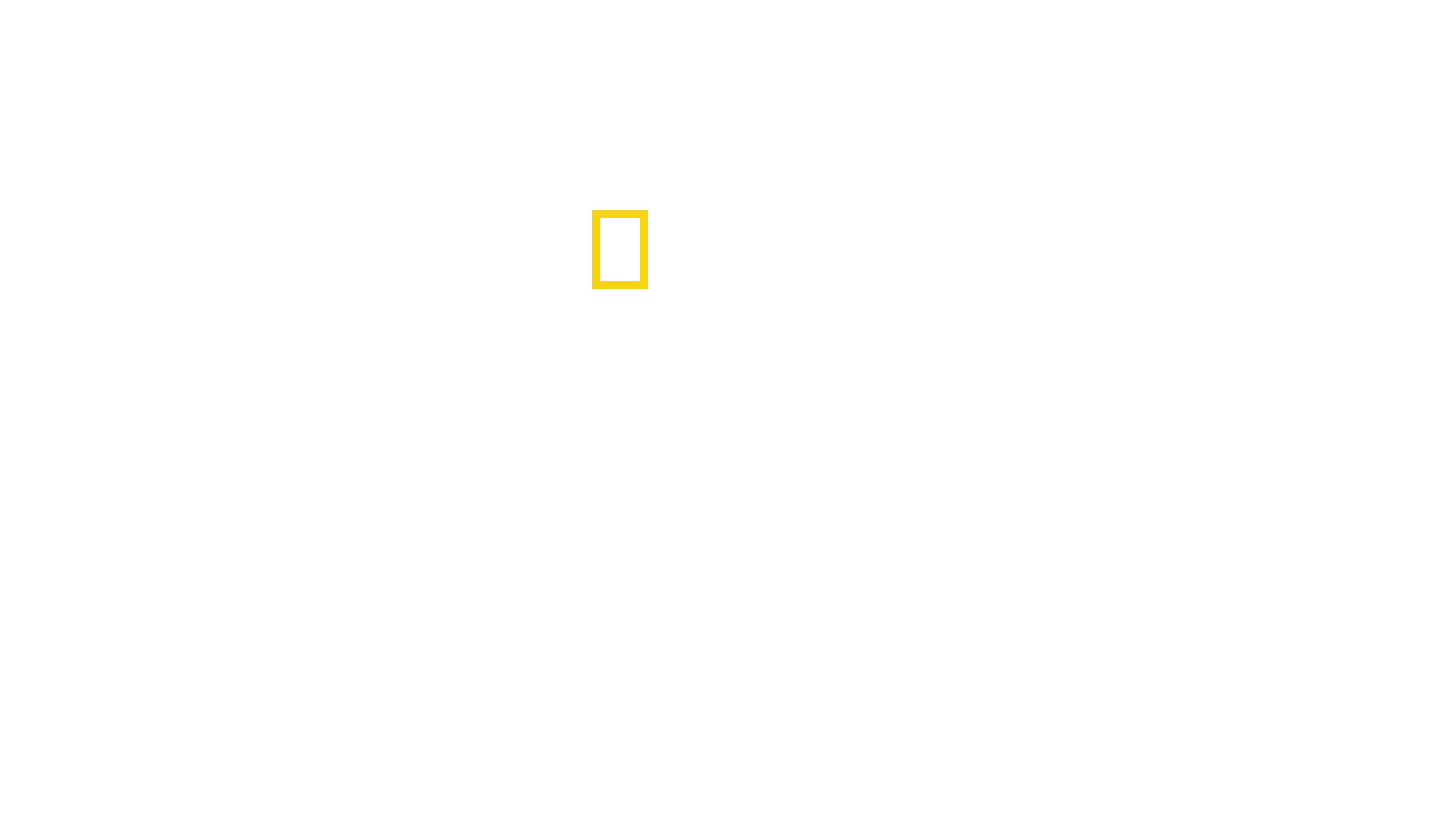 Rebuilding Paradise