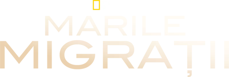 Marile migrații