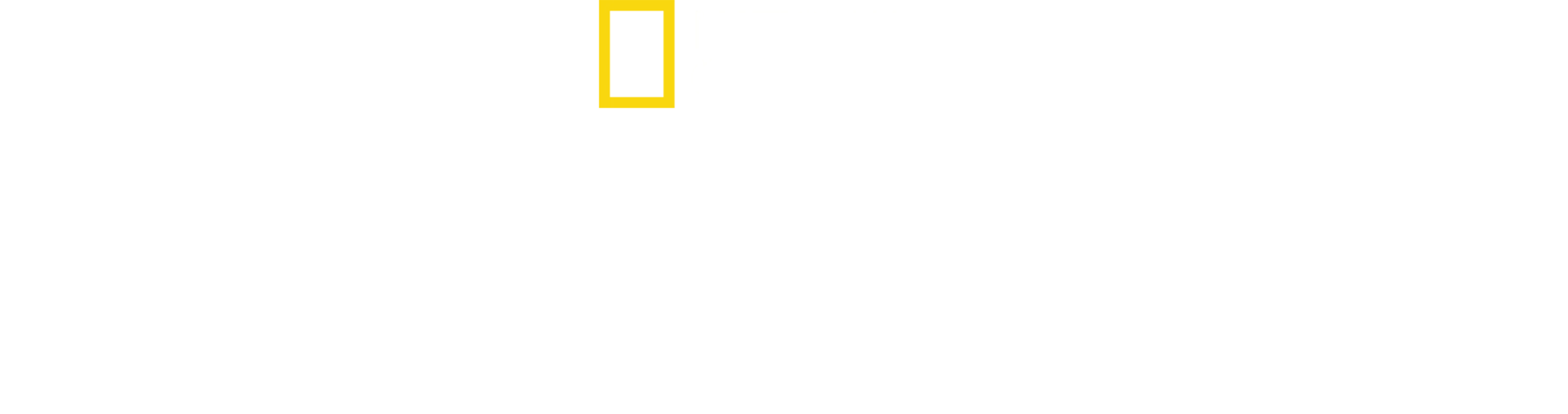 ロング・ロード・ホーム