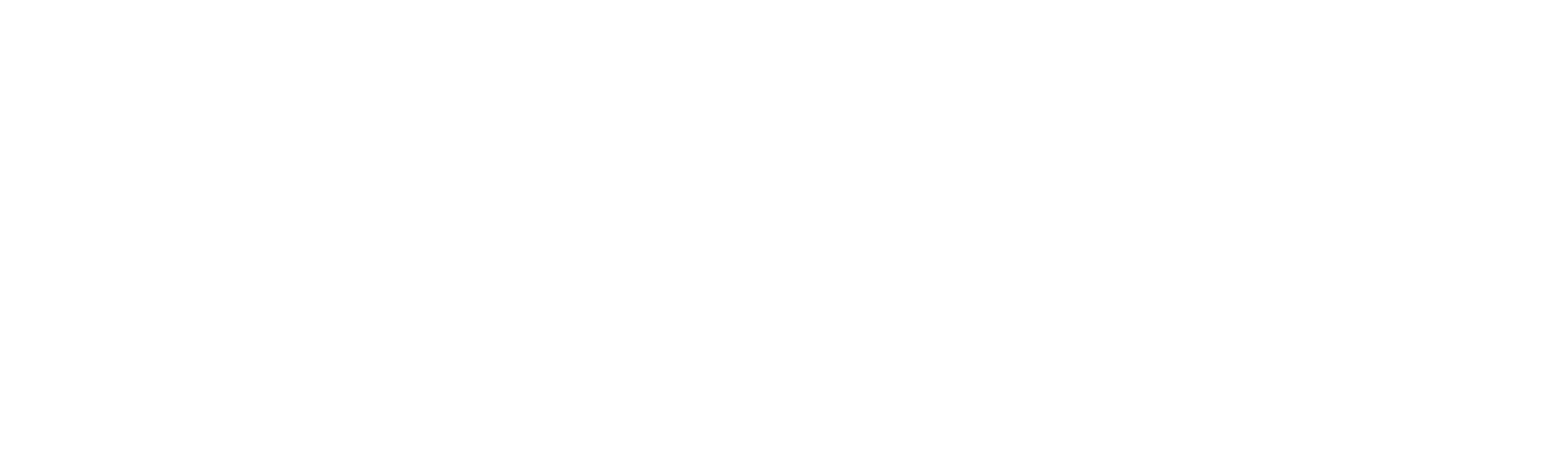 Valiant One