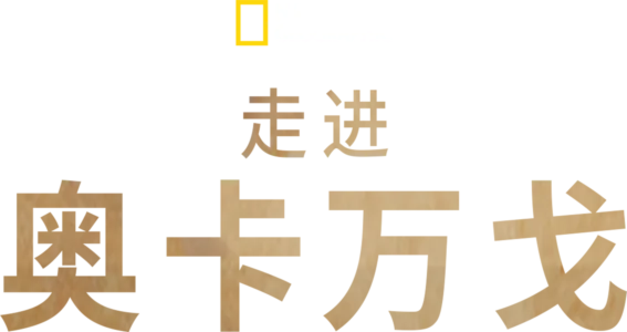 走进奥卡万戈