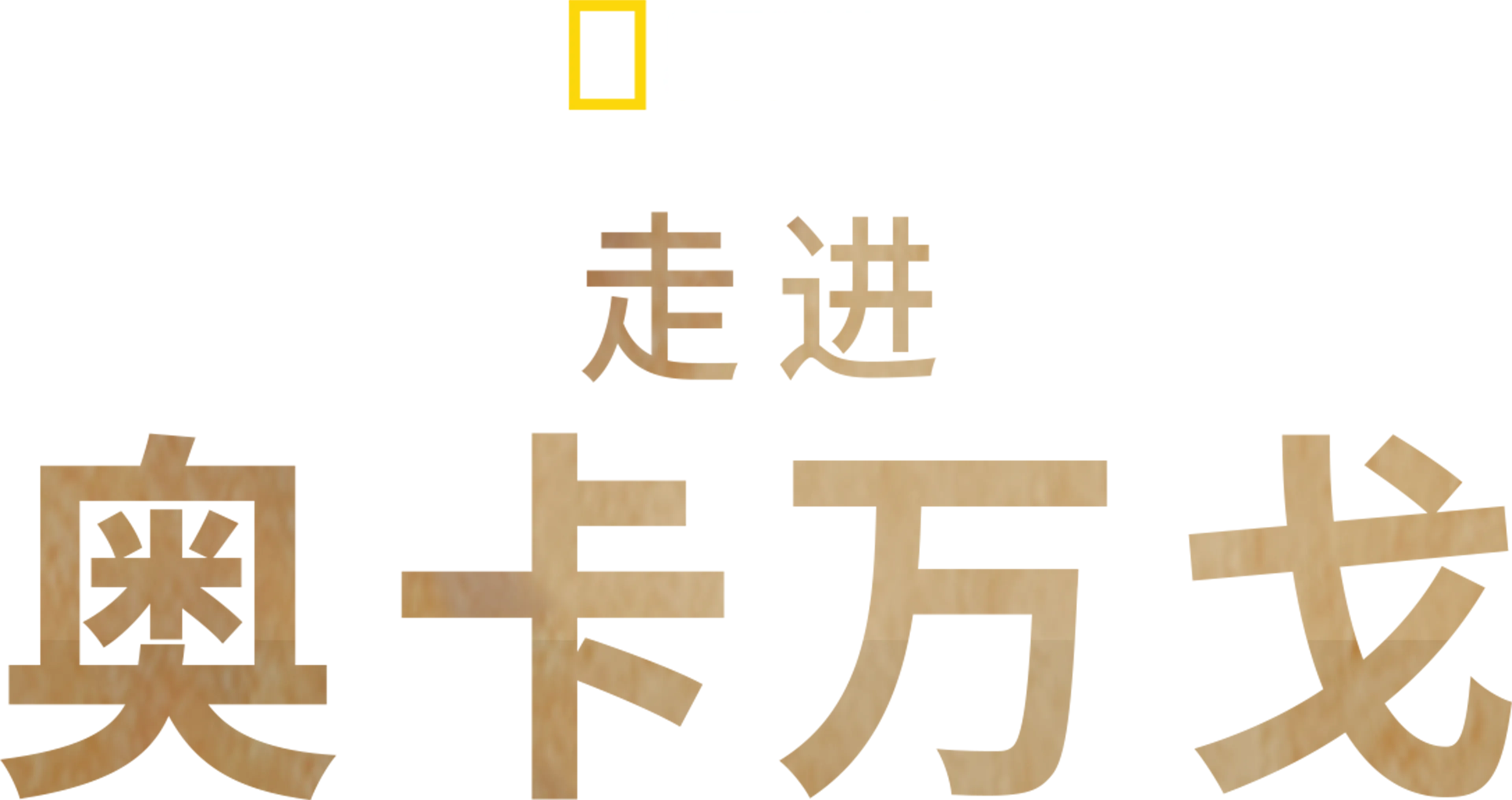 走进奥卡万戈