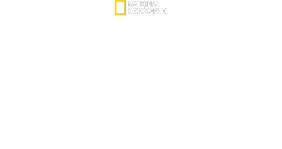 Die Magie von Disney's Animal Kingdom