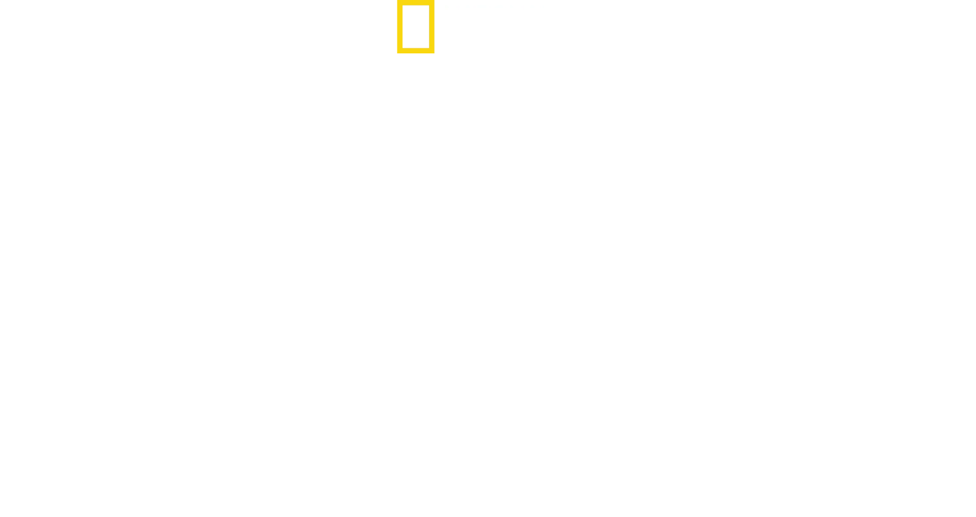 Die Magie von Disney's Animal Kingdom