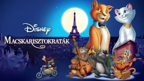 thumbnail - Macskarisztokraták