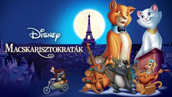 thumbnail - Macskarisztokraták