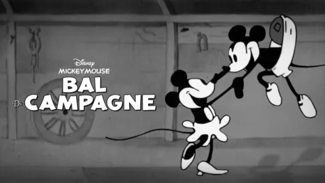 thumbnail - Bal de campagne